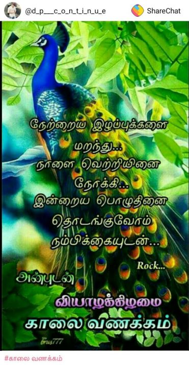 Image – Page 6 – Best Tamil Quotes